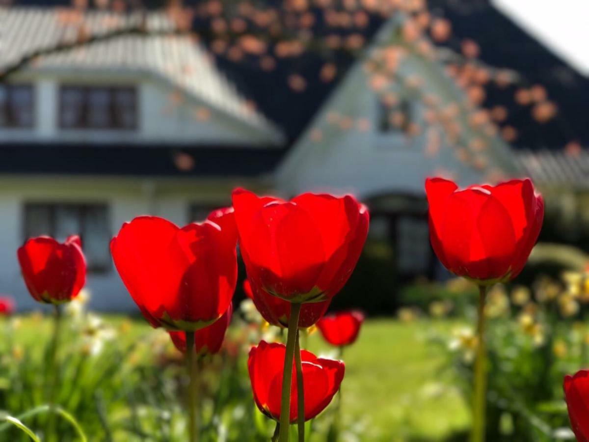 Landhaus Haack Tumlauer Koog Экстерьер фото